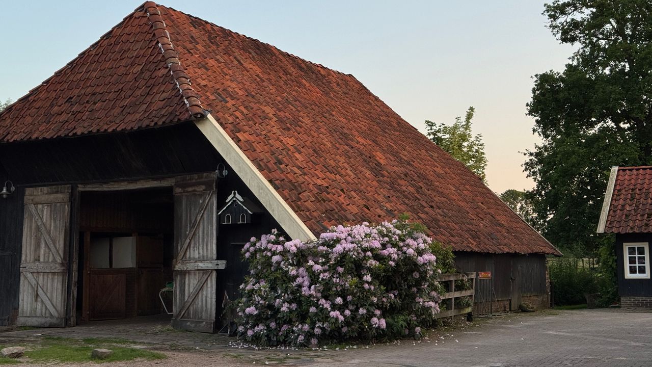 Scheuren in je muur: hoe weet je of het door de bodem komt?